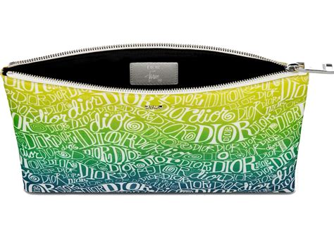 dior and shawn pouch|Pouch Multicolor Nylon Print with DIOR AND SHAWN Motif.